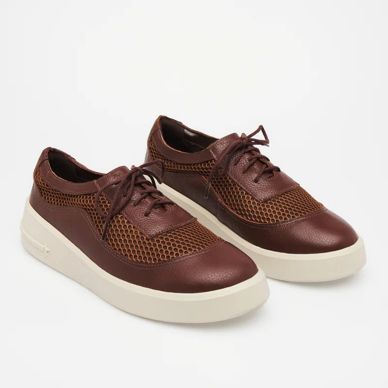 Eloah Leather Sneakers - Brown