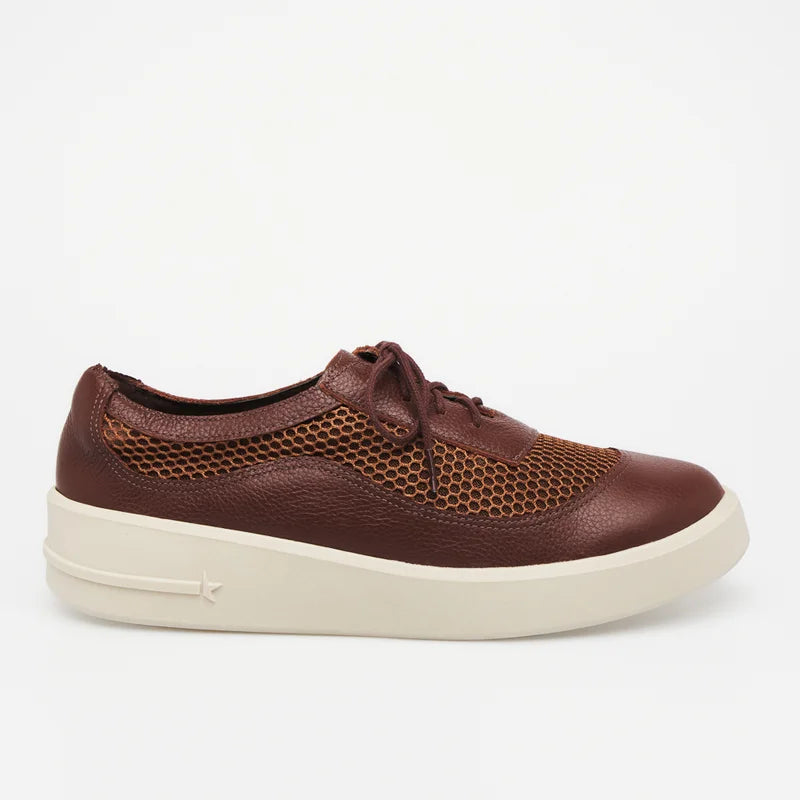 Eloah Leather Sneakers - Brown
